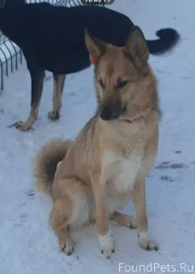 А еще у нас есть вот...