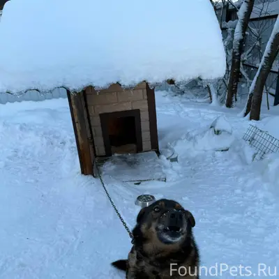Добрый вечер! 2.01 в 15...