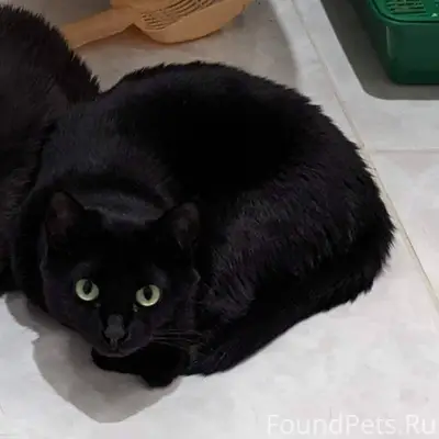 Всех с Новым Годом! У нас...