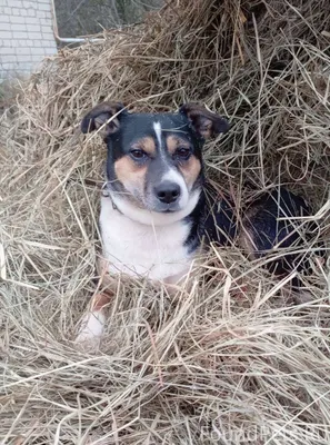 А ВЫ, ВЫБИРАЕТЕ ДРУЗЕЙ ПО КРАС...
