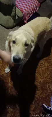 Ревда Автор: [id703142496|Тать...