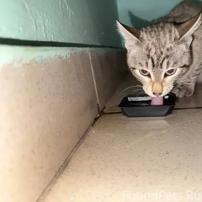 Г Октябрьский 34 мкрн дом 22.....