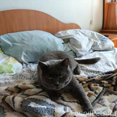 01.01.26 в 00:30...