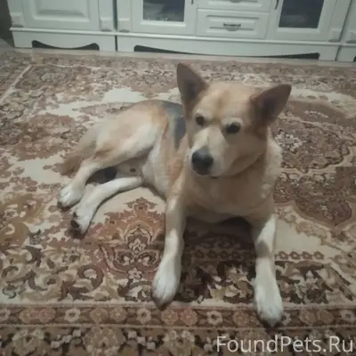 Вилейка! Большая просьба о пом...