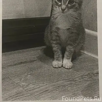 Дорогие друзья! В эти волшебны...