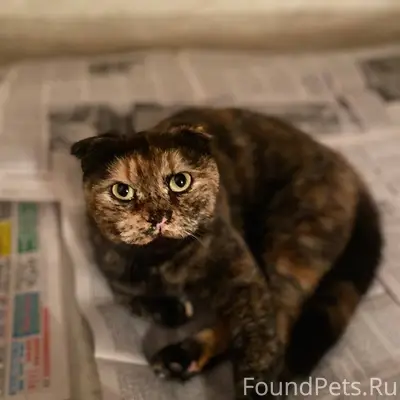 Вчера на Исети в районе набере...