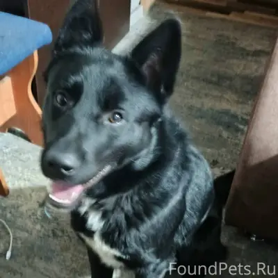 25.01 в Кальном была найдена.....