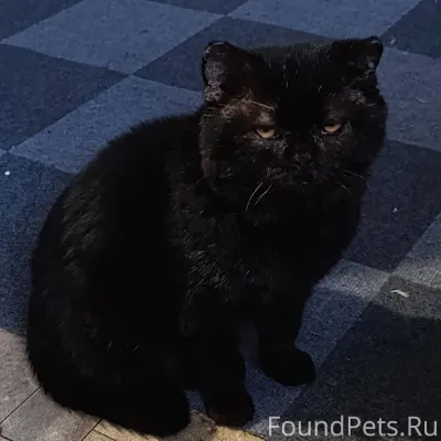 В районе 9 школы с пн...