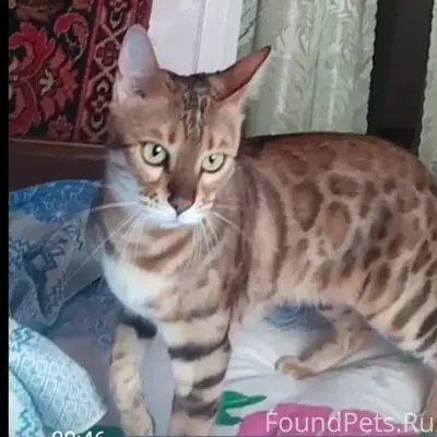 Поиски продолжаются 🙏🙏🤞 Пропал...