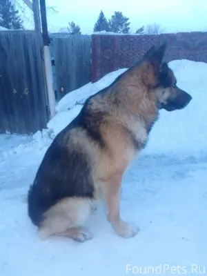 📍Плехановский жм, Калининский ...