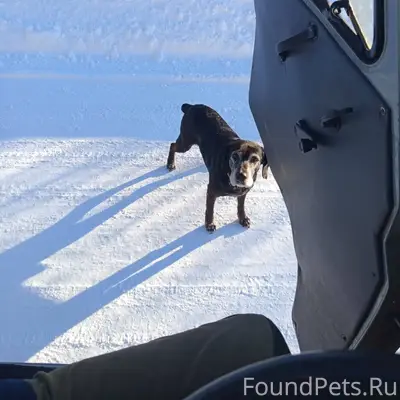 Доброго дня! Вчера, 29.01.26.....