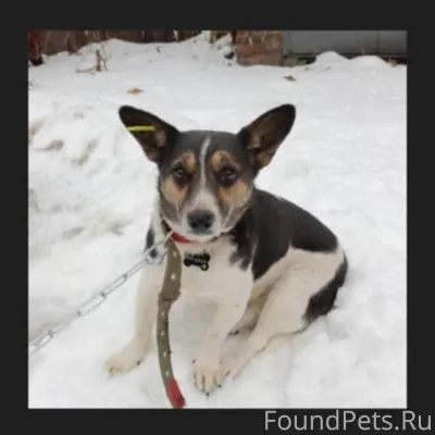 📍Октябрьский район 30.01 в 17....