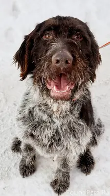 🆘🆘🆘🆘🆘🆘🆘🆘🆘🆘🆘🆘Московская область...