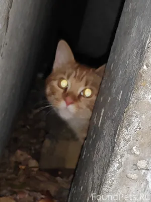 📍ул. Оловозаводская, Кировский...