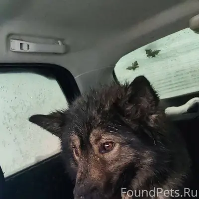 В Сарманово на дороге найдена ...