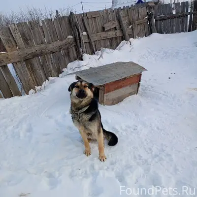 Добрый вечер пропала то есть у...