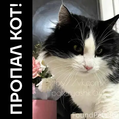 Саратов, поселок Семхоз. Пропа...