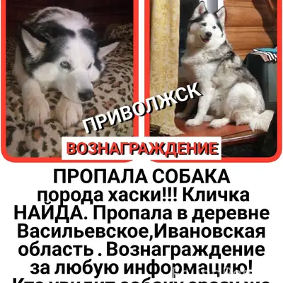 Продолжаем искать НАЙДУ!!! Соб...