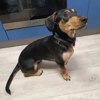 Волгоград. Красноармейский. 30...