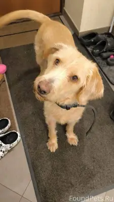 Татьяна🌸, [29 янв. 2026 в 21.....