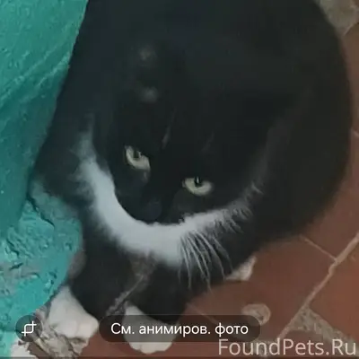 #Бгдпомоги 1- квартал 2,3 подъ...