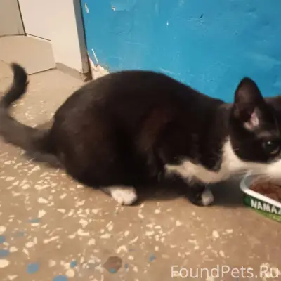 Возле дома Сентюрева1кор.3 (не...