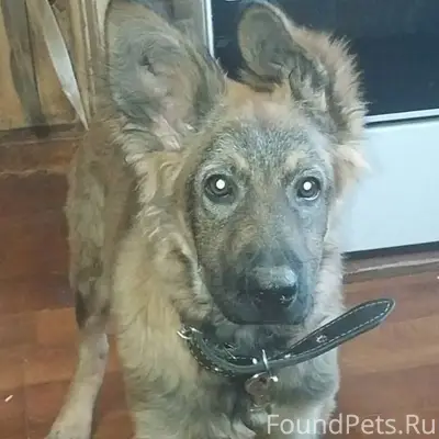 👉https://vk.com/wall153777902_...