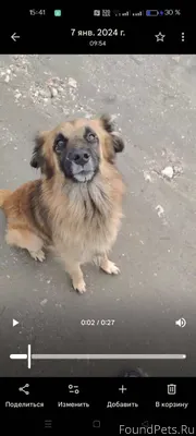 Симферополь. Здравствуйте. Оче...