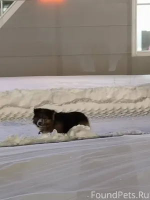 Около Магнита экстра на ул.Кир...