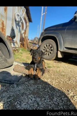 Срочно ‼️ максимальный репост‼...