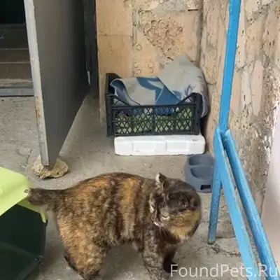 Помогите пожалуйста Евпатория ...