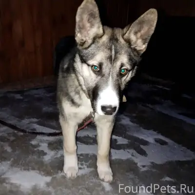 Помогите пожалуйста если увиде...