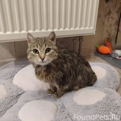 Добрый вечер. 30.01 в 17...