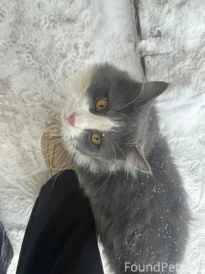 Добрый день Друзья! Прошу помо...