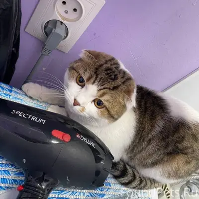 Уфа, Сос, в подъезде была обна...