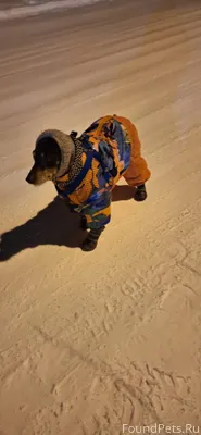 Вчера вечером в районе Гайдара...