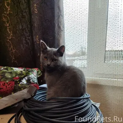 Помогите 🆘 пожалуйста пропала ...