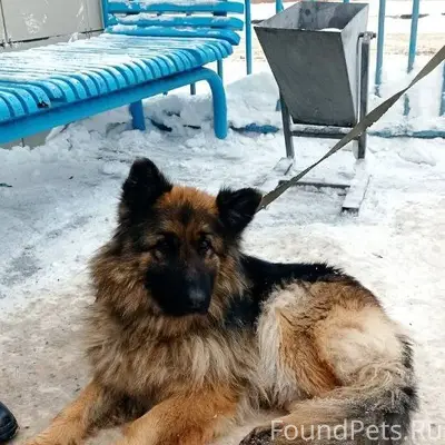 Саратов. Вольский тракт. Совхо...