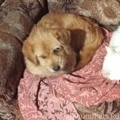 Внимание! В районе Бандажников...