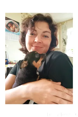 Пропал щенок.29 января,в район...