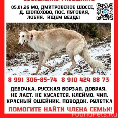 🆘 ВНИМАНИЕ, ЖИТЕЛИ ДРУГИХ ГОРО...