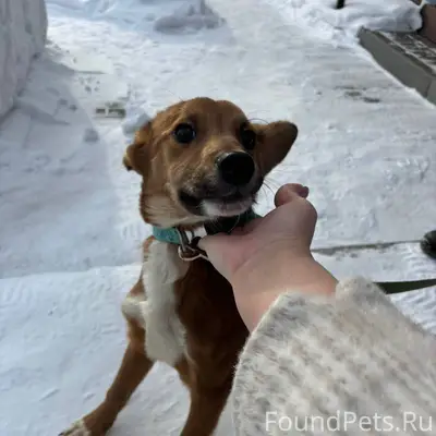 28.01.2026 на проезжей части.....