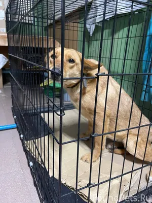 [id270419516|Мария Аверкиева] ...