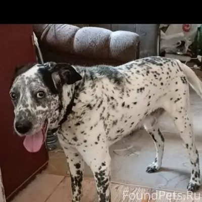 РОСТОВ 🆘‼️💥🔥🔥🔥 Район Чкаловски...