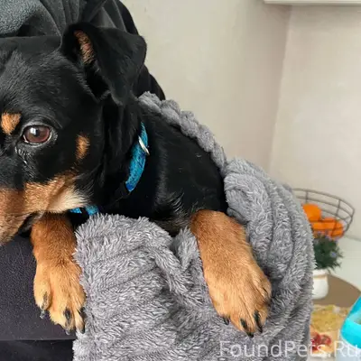 Во двор дома 15 улица Сахалин....