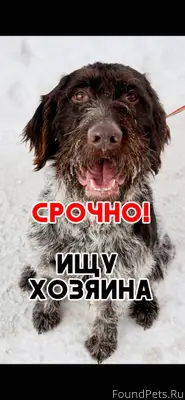 Срочно‼️‼️️ HELP‼️‼️‼️SOS‼️‼️ ...