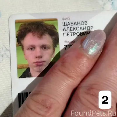 1️⃣ здравствуйте! в электричке...