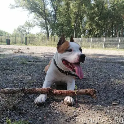 Внимание ‼ Помогите 🆘 Пропал ч...