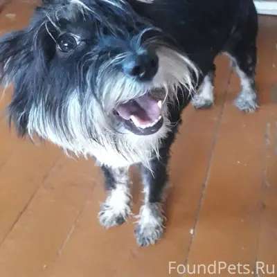 Опубликуйте пожалуйста. Ищу со...