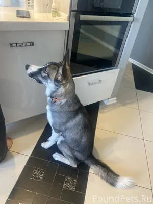 Друзья! Давайте найдем этому п...